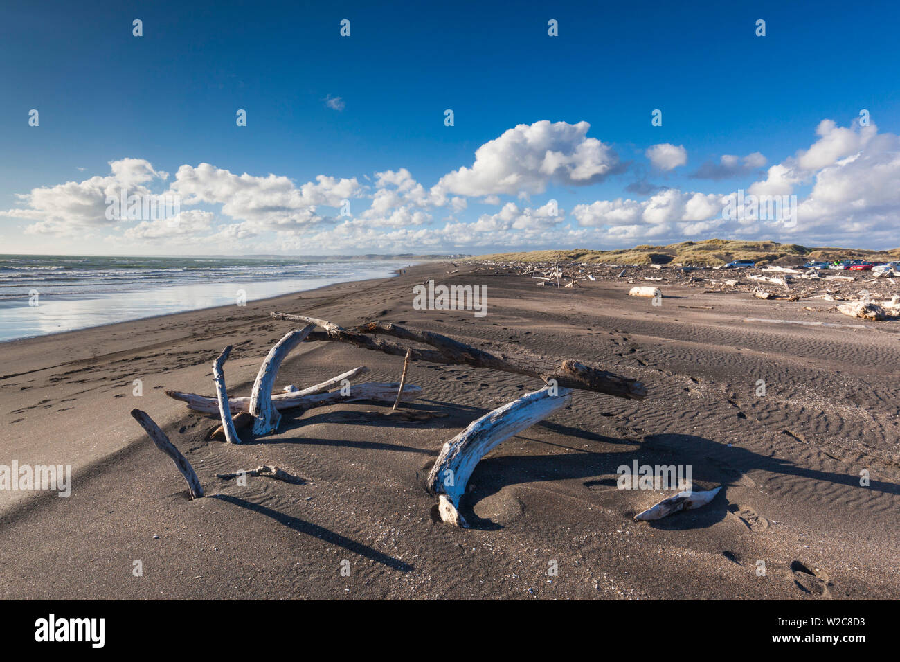 Nuova Zelanda, Isola del nord, Wanganui, Castlecliff Beach, dune Foto Stock