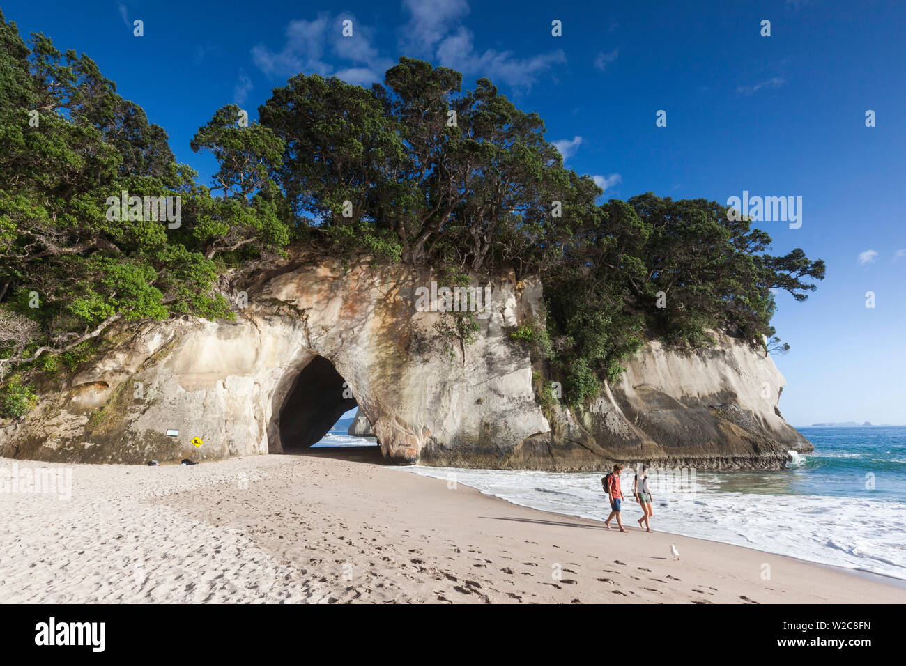 Nuova Zelanda, Isola del nord, la Penisola di Coromandel, Hahei, Cove Della Cattedrale Foto Stock