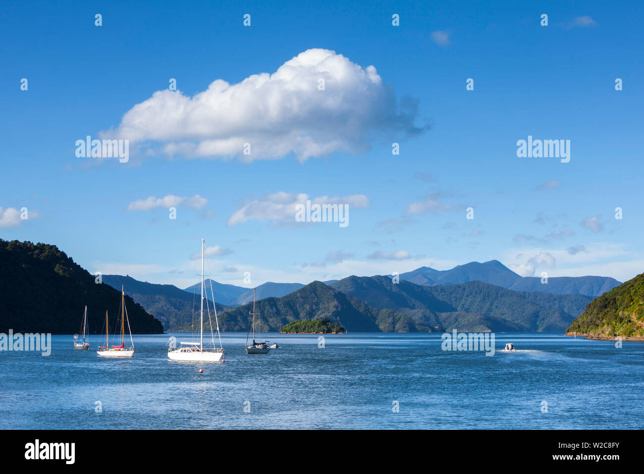 Yacht ancorati sulle idilliache Queen Charlotte Sound, Picton Marlborough Sounds, Isola del Sud, Nuova Zelanda Foto Stock