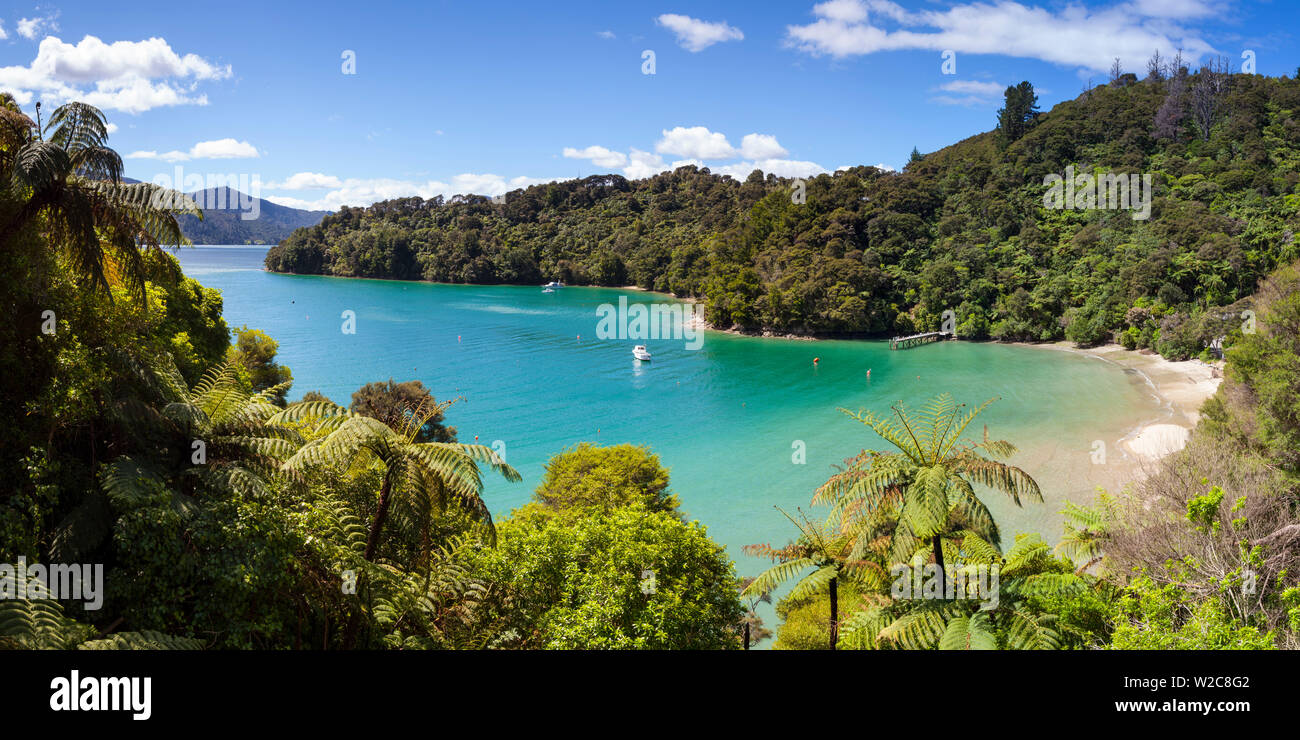 Vista sulla pittoresca baia in posizione idilliaca Kenepuru Sound, Marlborough Sounds, Isola del Sud, Nuova Zelanda Foto Stock