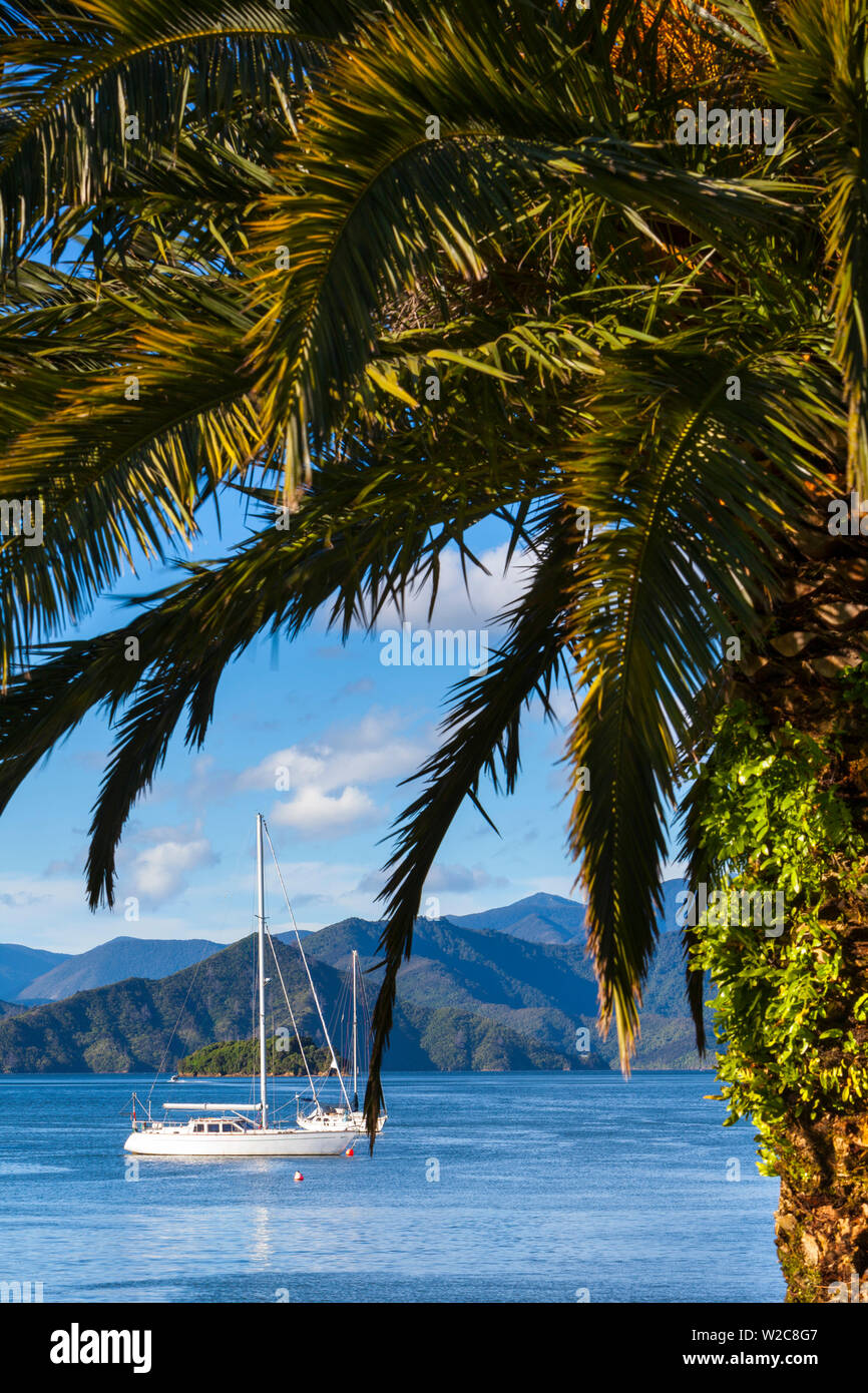 Yacht ancorati sulle idilliache Queen Charlotte Sound, Picton Marlborough Sounds, Isola del Sud, Nuova Zelanda Foto Stock