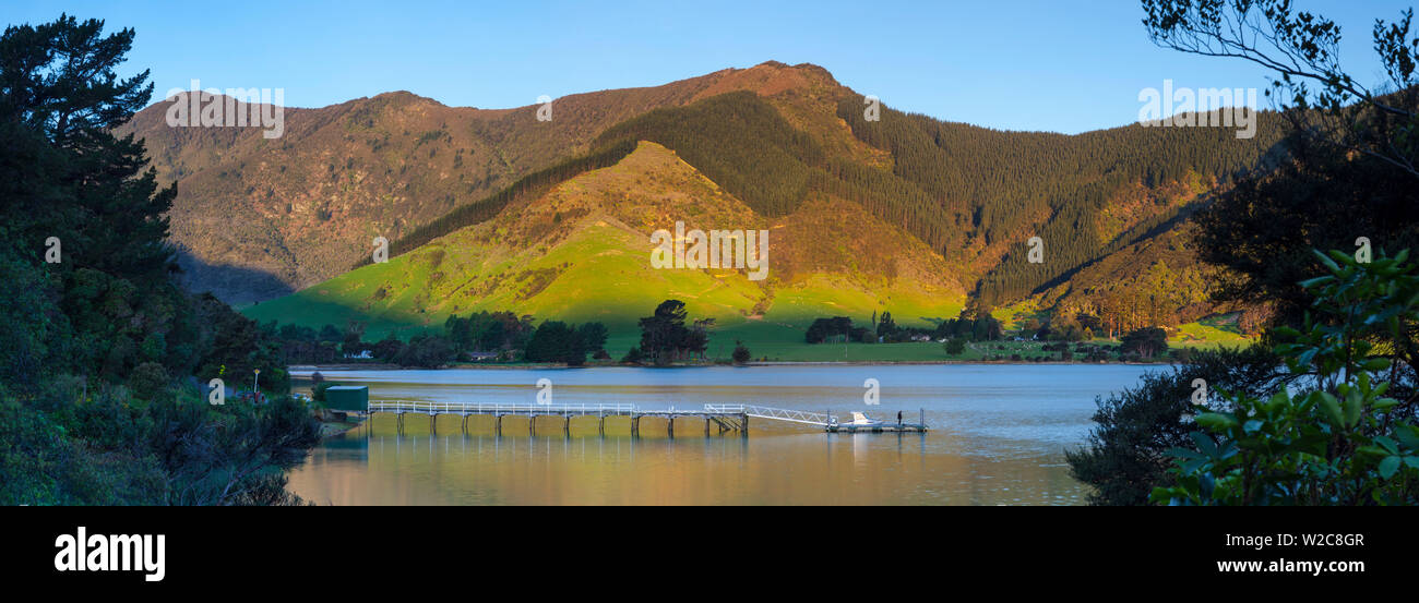 Il pittoresco molo di Kenepuru idilliaco Suono, Marlborough Sounds, Isola del Sud, Nuova Zelanda Foto Stock
