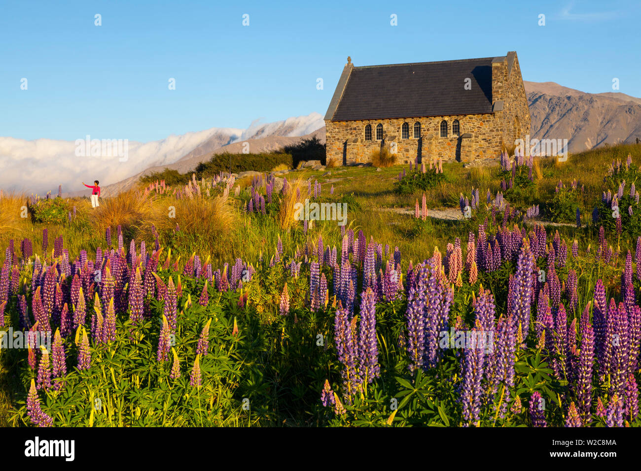 La Chiesa del Buon Pastore, il Lago Tekapo, Mackenzie Country, Canterbury, Isola del Sud, Nuova Zelanda Foto Stock