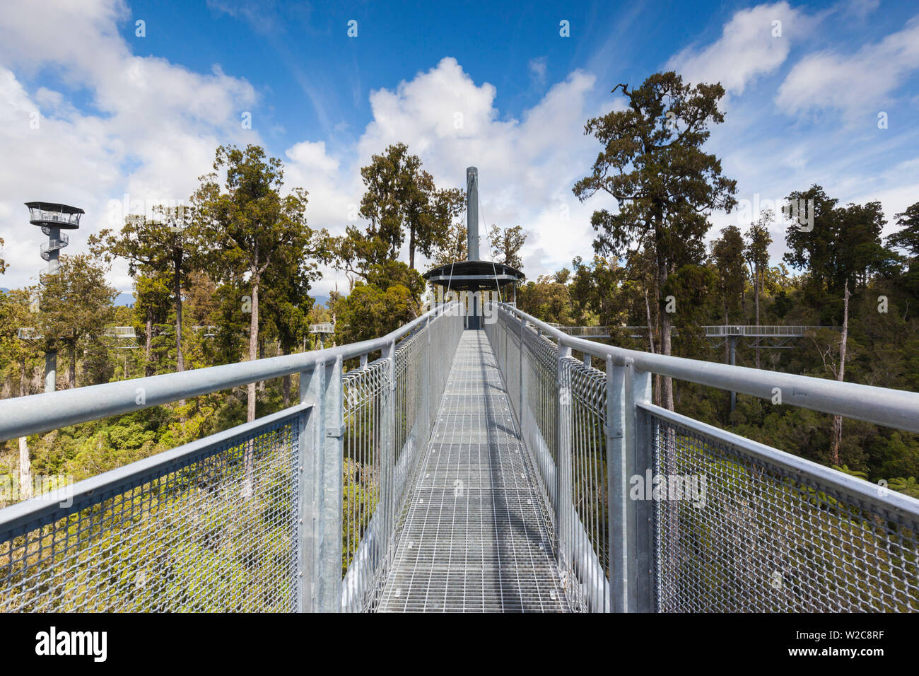 Nuova Zelanda, Isola del Sud, West Coast, Hokitika West Coast Treetops passerella sopraelevata passerella in acciaio 20 metri al di sopra del bosco Foto Stock