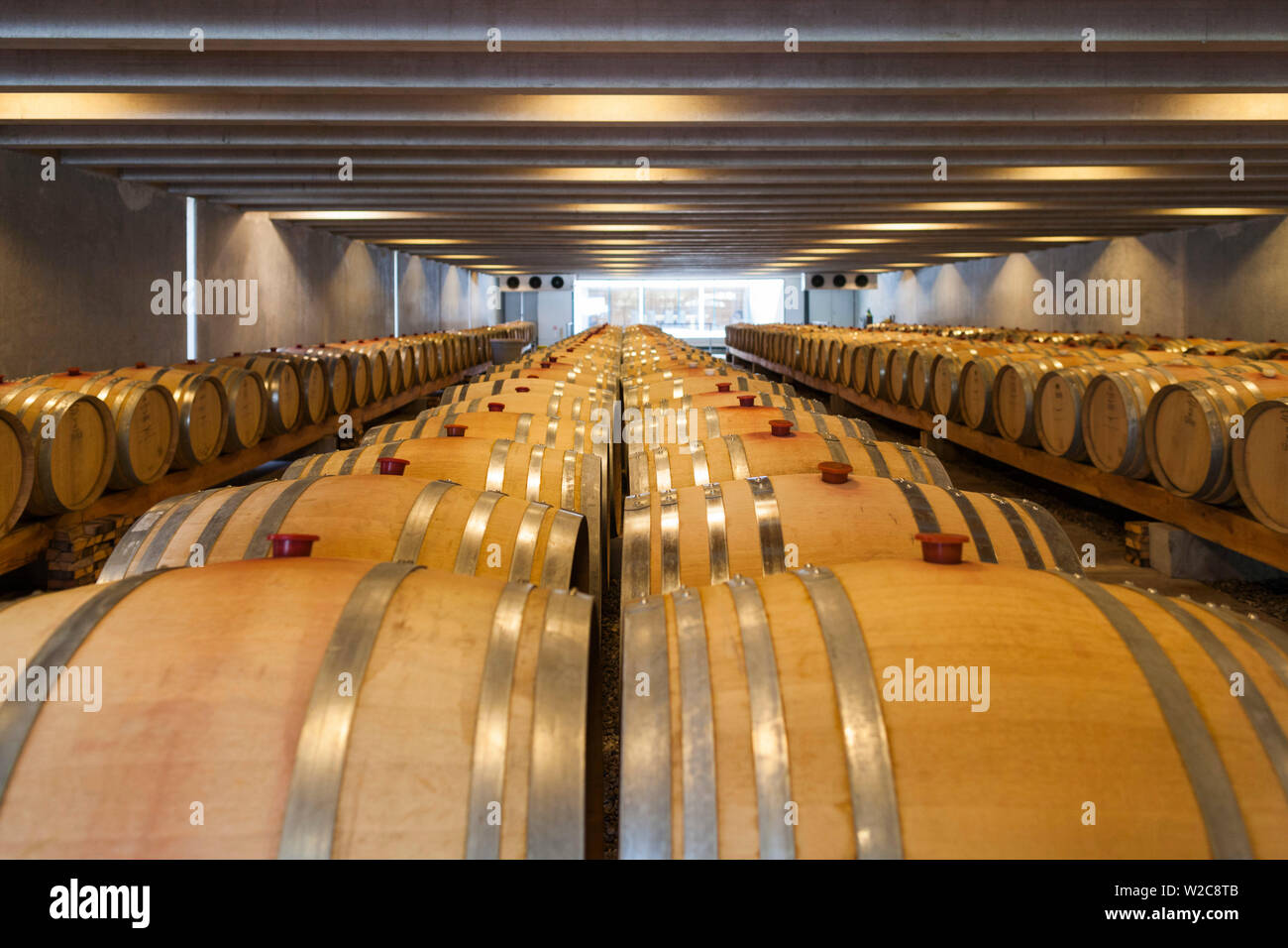Nuova Zelanda, Isola del Sud, Otago, Gibbston, Peregrine Cantina, interno Foto Stock