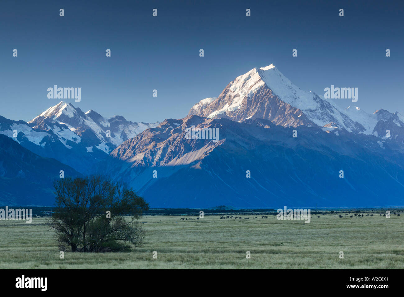 Nuova Zelanda, isola del sud, Canterbury, Aoraki-Mt. Cook National Park, Mt. Cuocere, crepuscolo Foto Stock