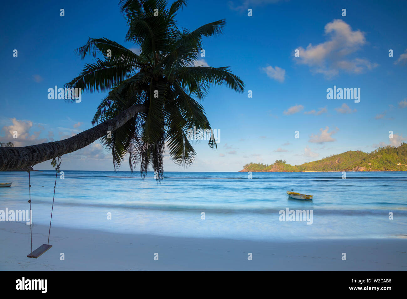 Palm Tree e spiaggia tropicale, southern Mahe, Seicelle Foto Stock