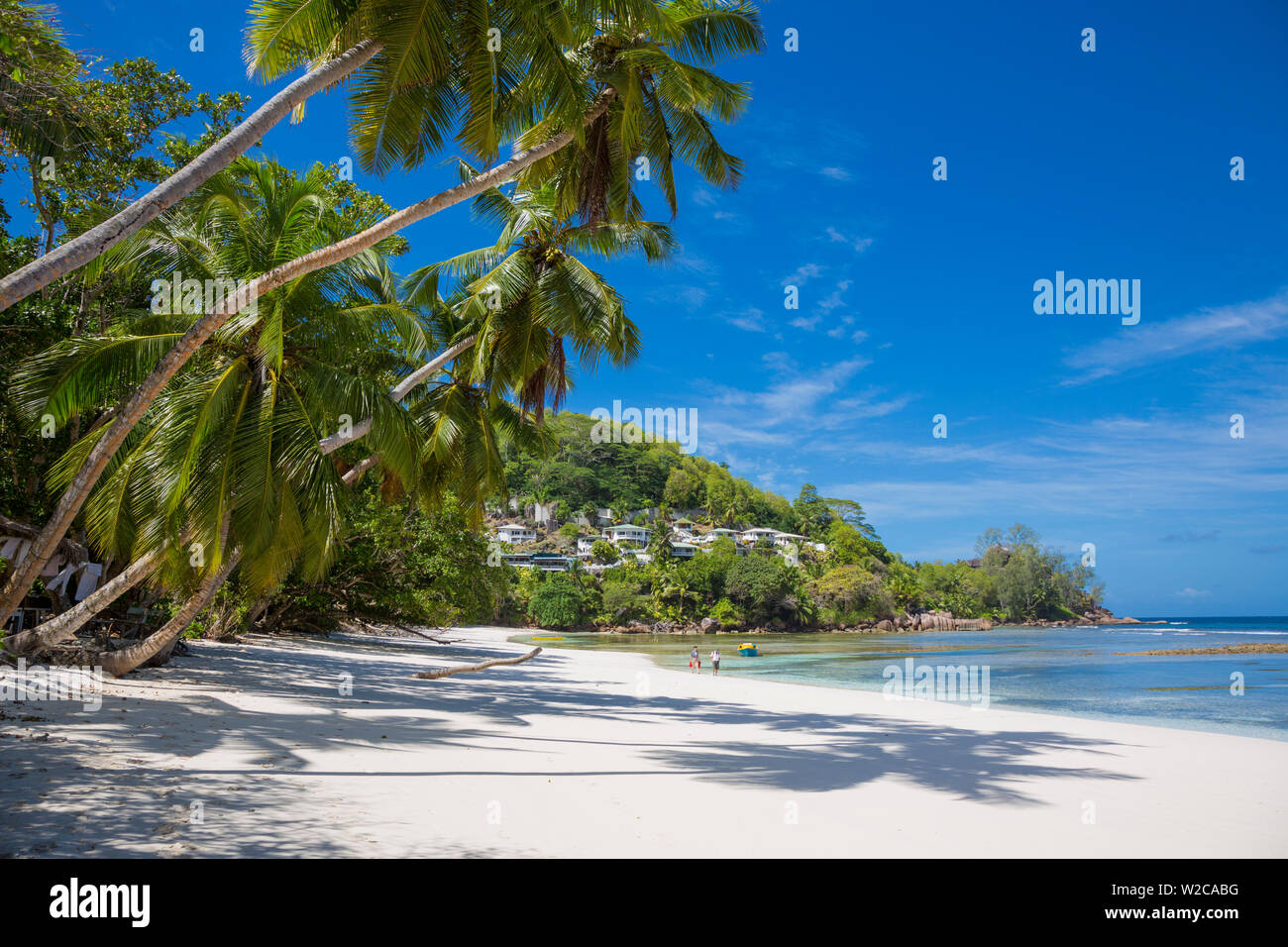 Le palme e la spiaggia tropicale, southern Mahe, Seicelle Foto Stock