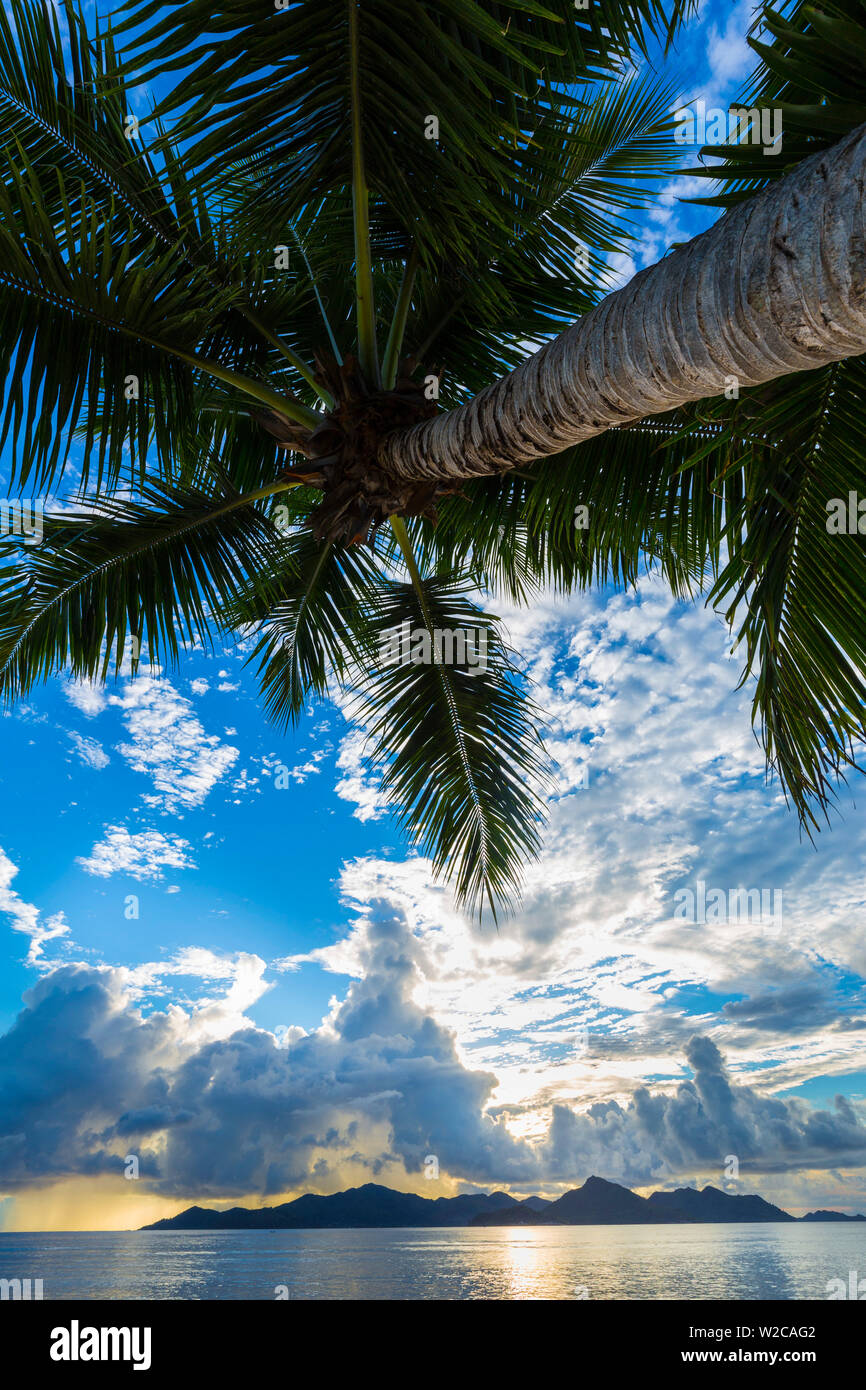 Le palme e la spiaggia tropicale, La Digue, Seicelle Foto Stock