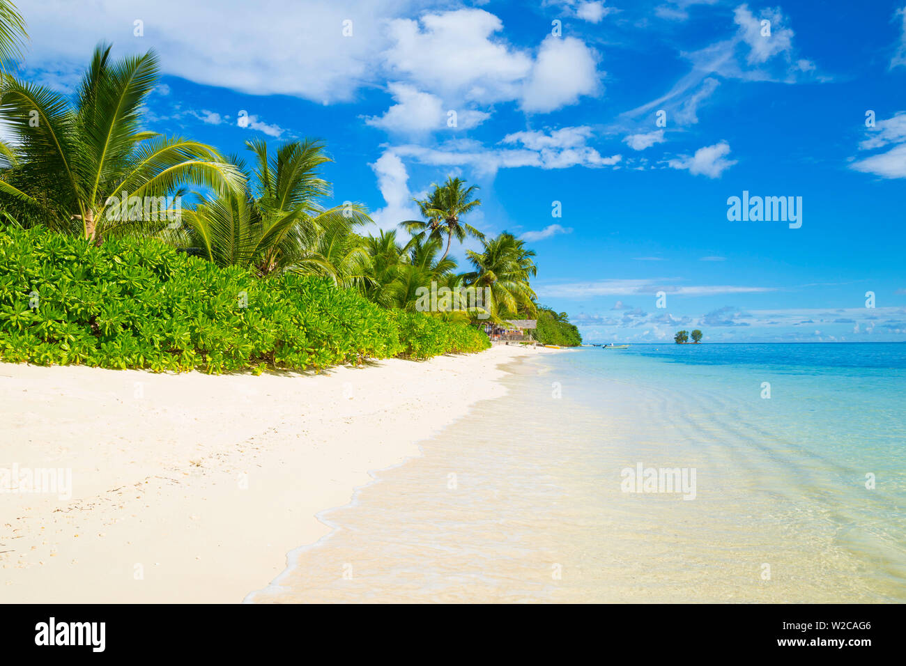 Le palme e la spiaggia tropicale, La Digue, Seicelle Foto Stock