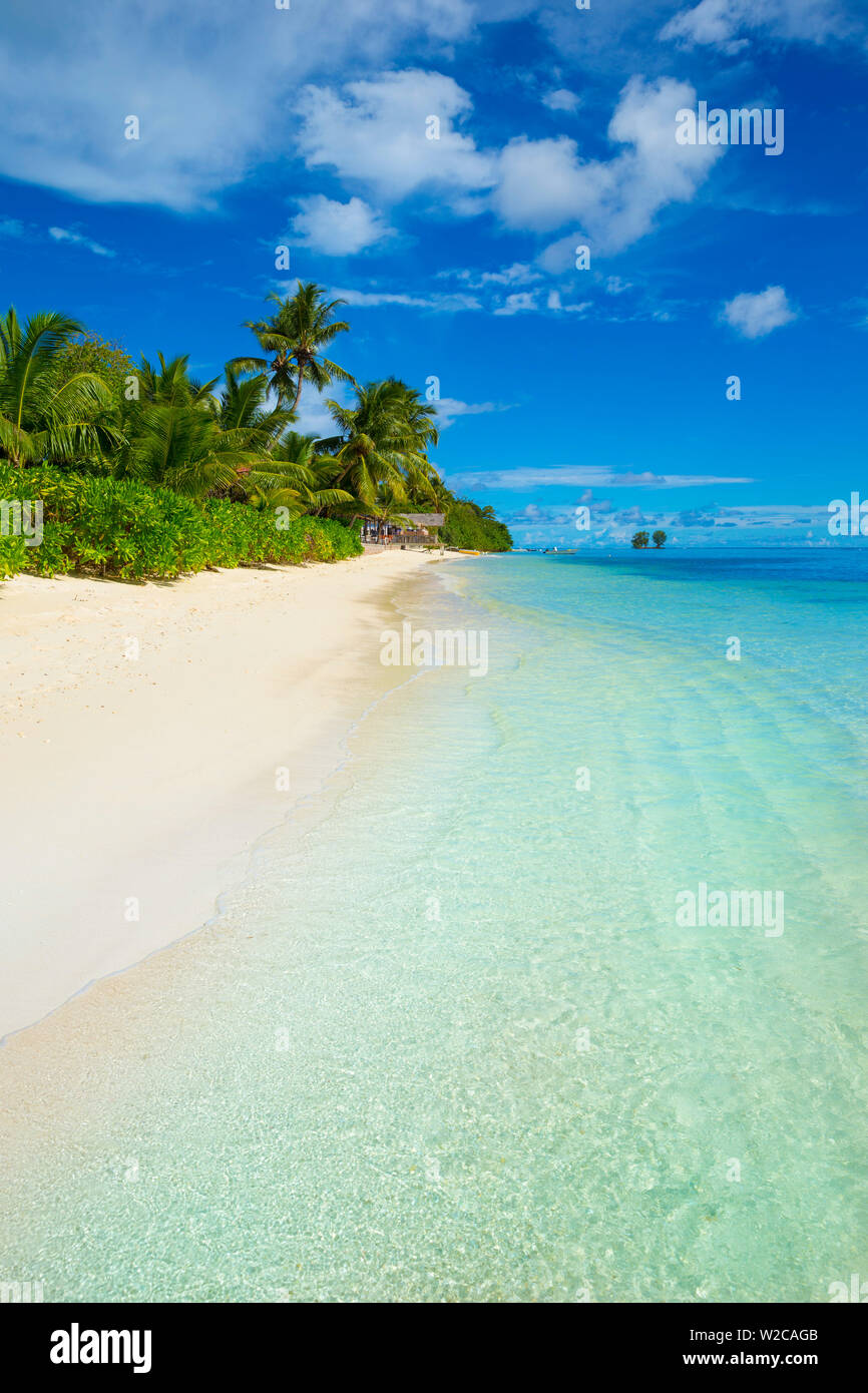 Le palme e la spiaggia tropicale, La Digue, Seicelle Foto Stock