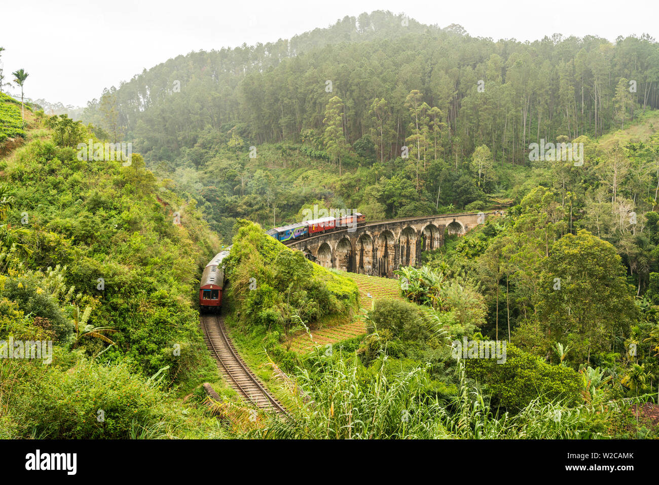 Il treno attraversa la Demodera nove archi ponte in prossimità di Ella nel Southern Highlands, Sri Lanka Foto Stock