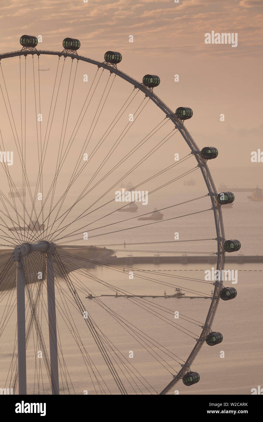 Singapore, Singapore Flyer, una gigantesca ruota panoramica Ferris, vista in elevazione, alba Foto Stock