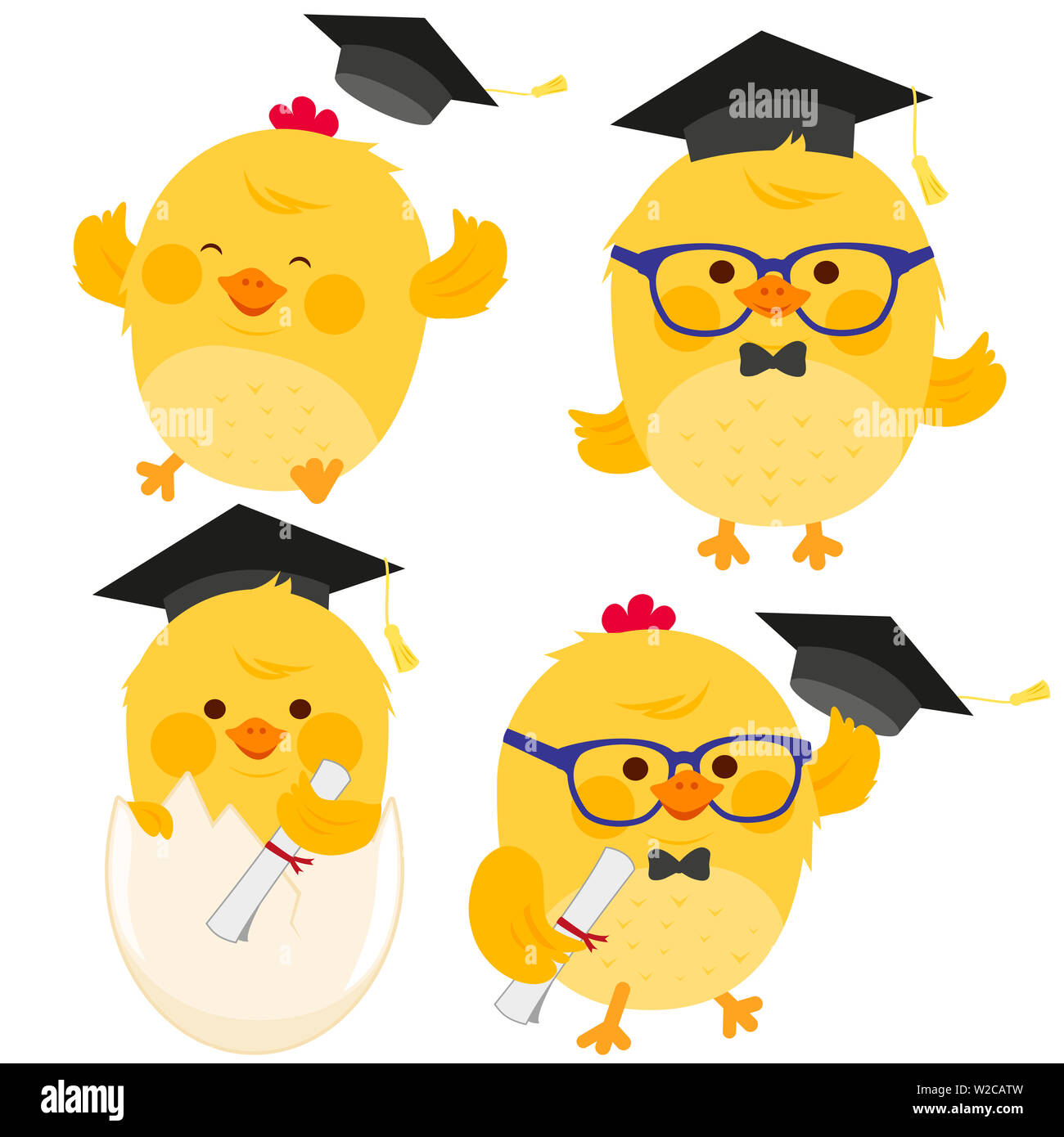 Illustrazione insieme di piccolo grazioso polli con graduazione di cappelli e diplomi. Foto Stock