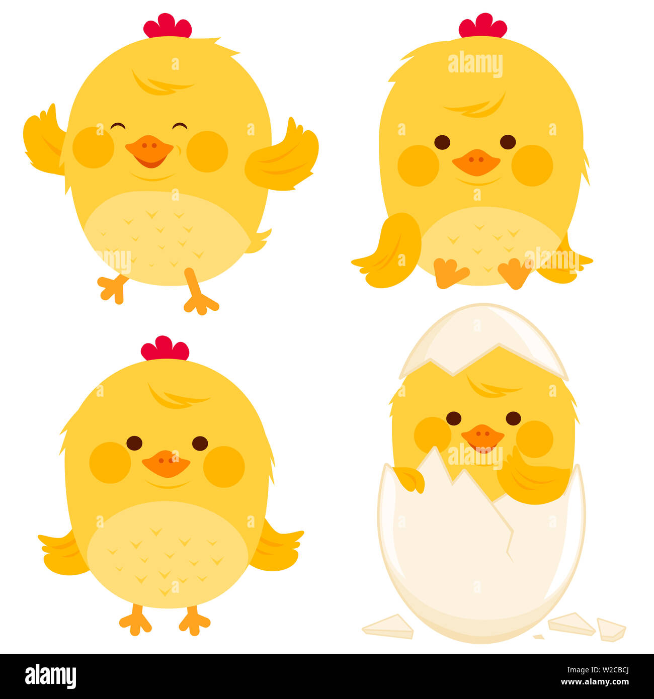 Poco pollo collezione illustrazione. Foto Stock