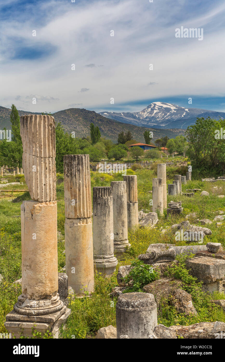 Rovine di antiche Aphrodisias, Aydin Provincia, Turchia Foto Stock