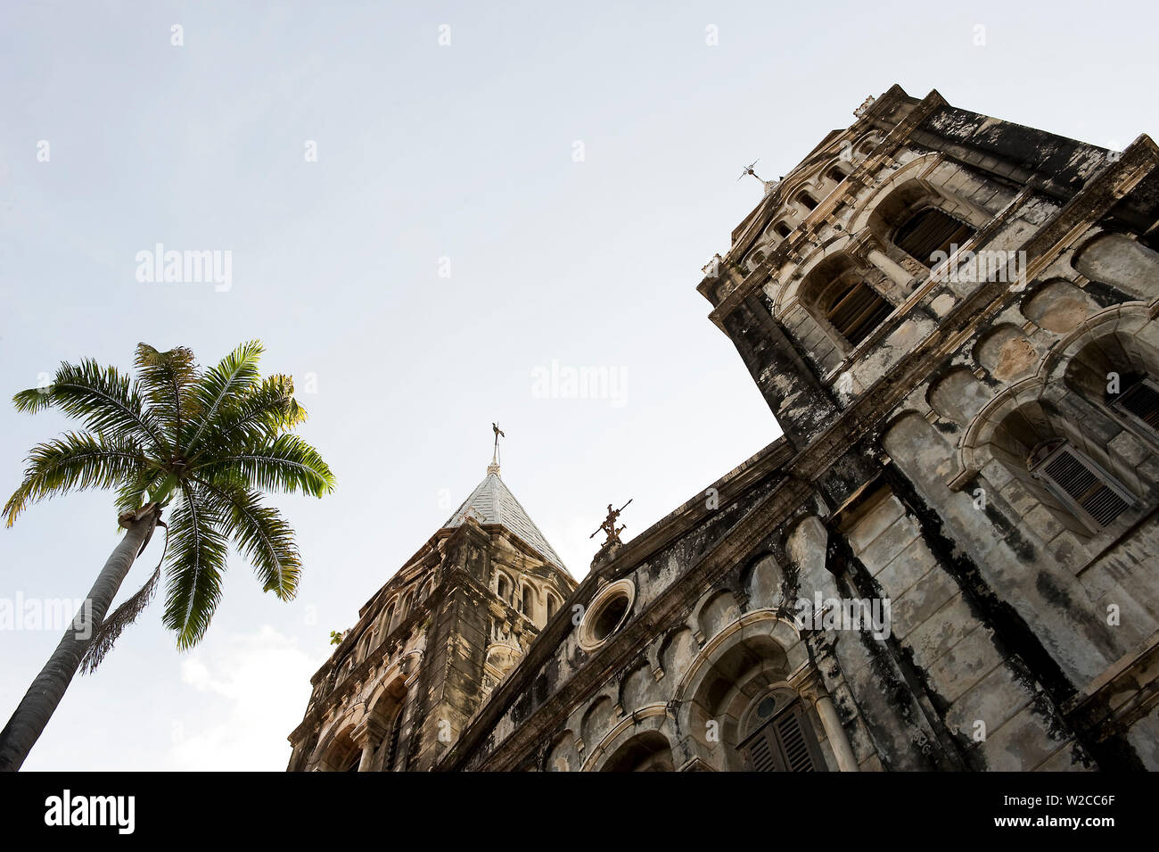 La Chiesa di Cristo cattedrale anglicana e Palm tree, Stone Town, isola di Unguja, Arcipelago di Zanzibar, Tanzania Foto Stock