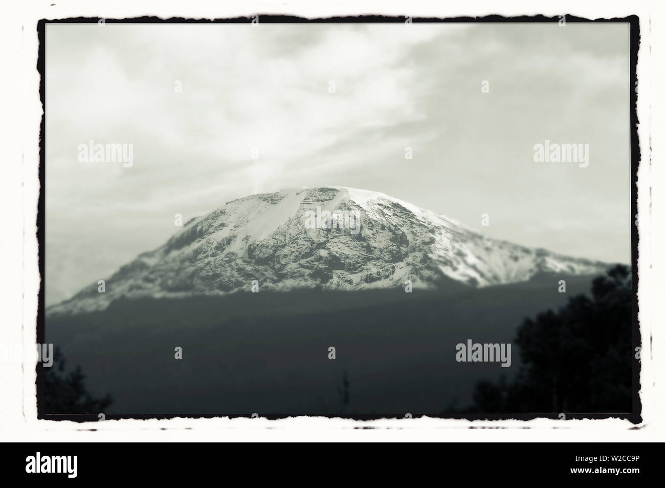 Il Monte Kilimanjaro con alberi di fronte, dalla Tanzania Foto Stock