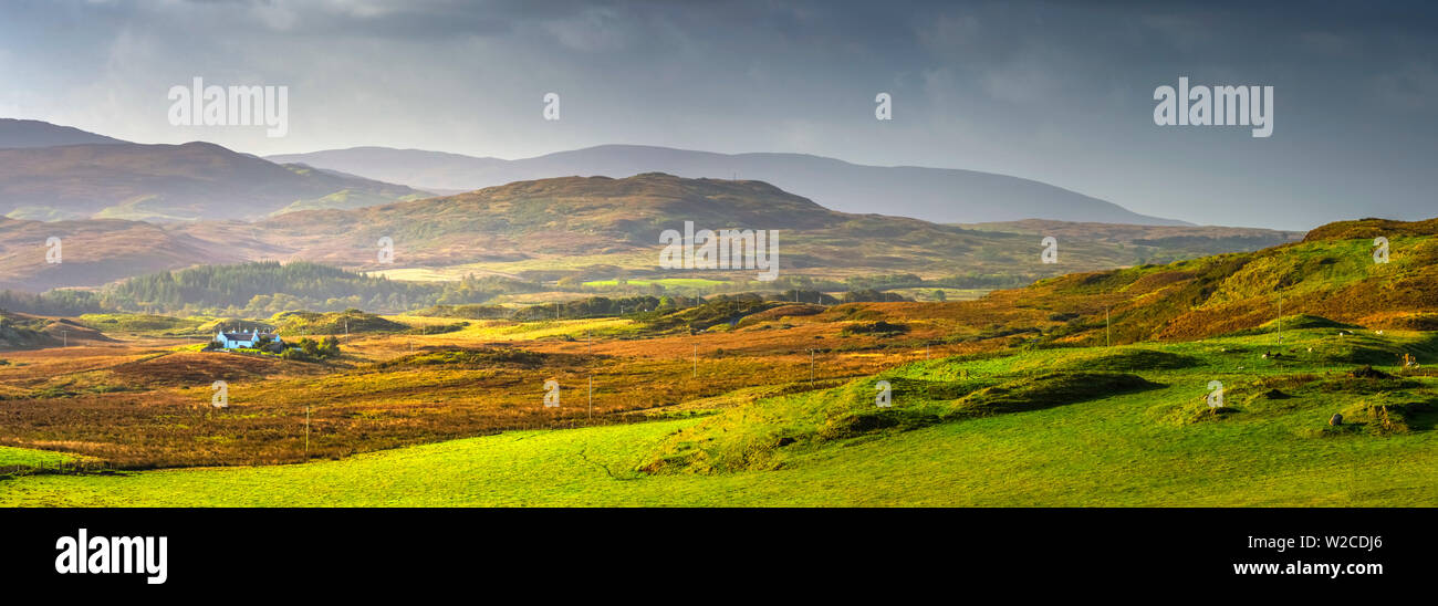 Regno Unito, Scozia, Argyll and Bute, Islay, agriturismo vicino a Port Askaig Foto Stock