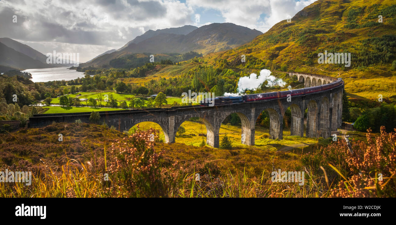Regno Unito, Scozia, Highland, Loch Shiel, Glenfinnan, Glenfinnan viadotto ferroviario, parte del West Highland Line, il giacobita treno a vapore, reso famoso in JK Rowling Harry Potter come la scuola di Hogwarts Express Foto Stock