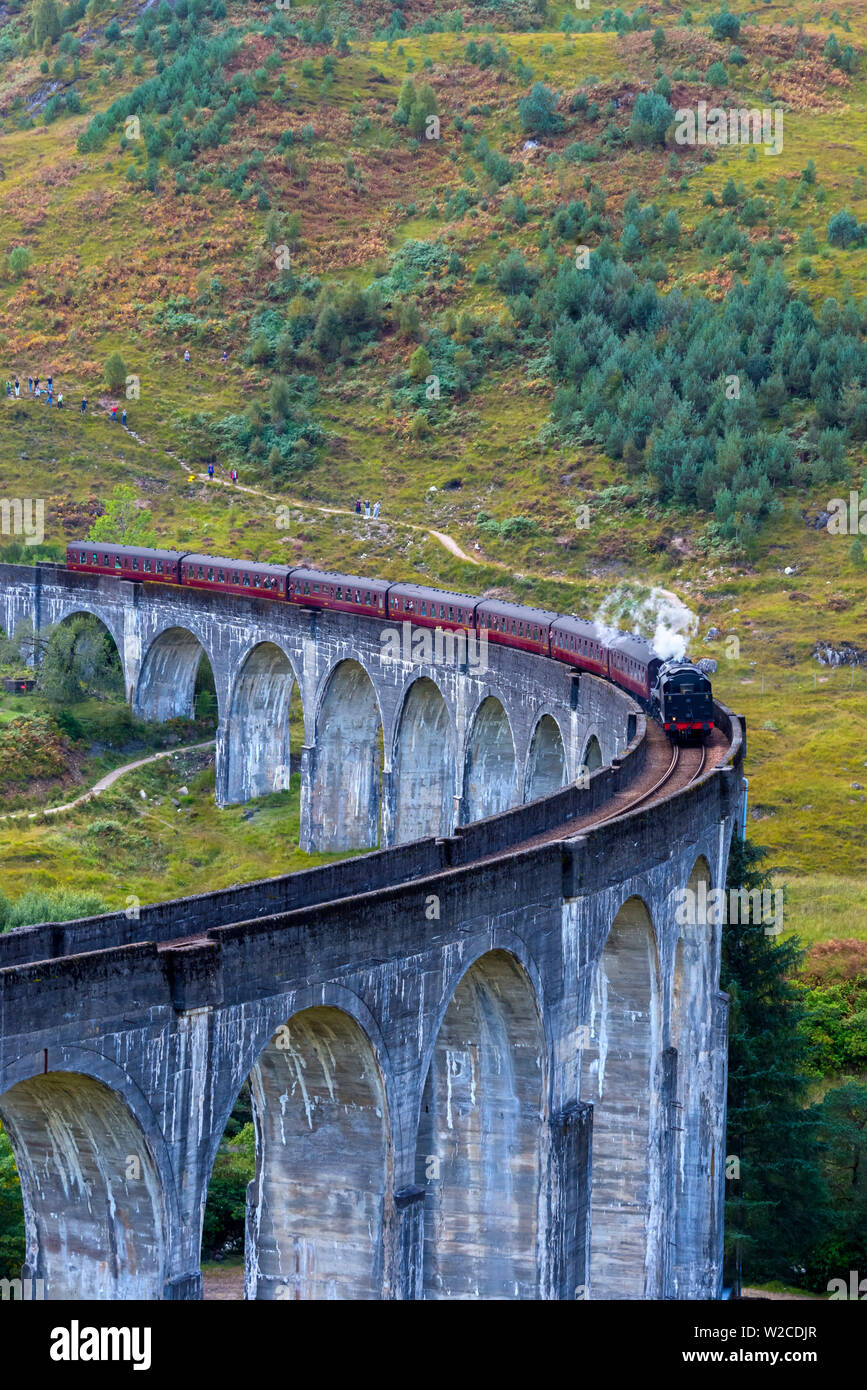 Regno Unito, Scozia, Highland, Loch Shiel, Glenfinnan, Glenfinnan viadotto ferroviario, parte del West Highland Line, il giacobita treno a vapore, reso famoso in JK Rowling Harry Potter come la scuola di Hogwarts Express Foto Stock
