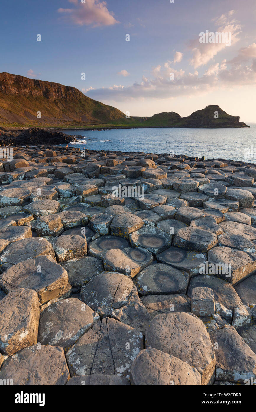 Regno Unito e Irlanda del Nord, nella contea di Antrim, Bushmills, giganti Causeway, Sito Patrimonio Mondiale dell'Unesco, costiere formazione di roccia di basalto, crepuscolo Foto Stock