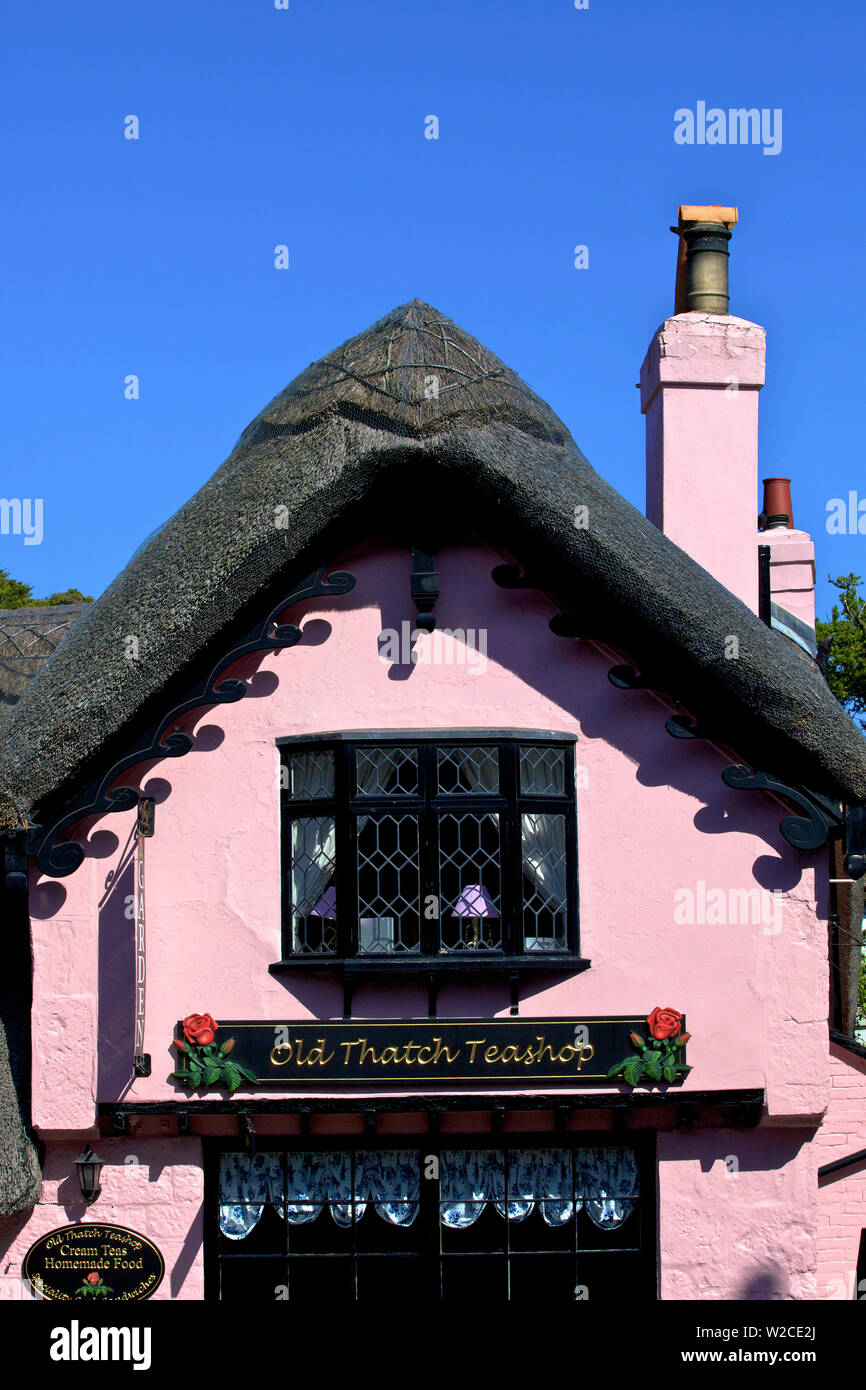 Negozio di tè, Isle of Wight, Regno Unito Foto Stock