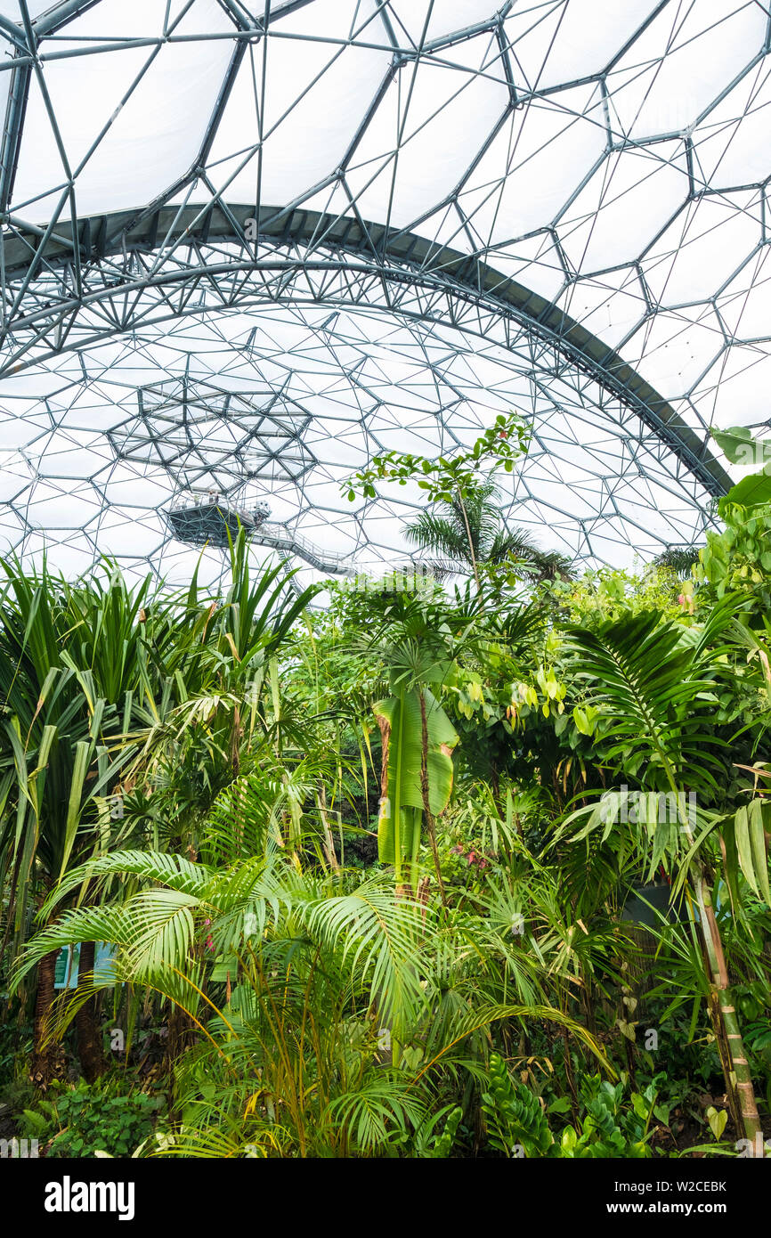 Rainforest biome, Eden Project, Cornwall, Regno Unito Foto Stock