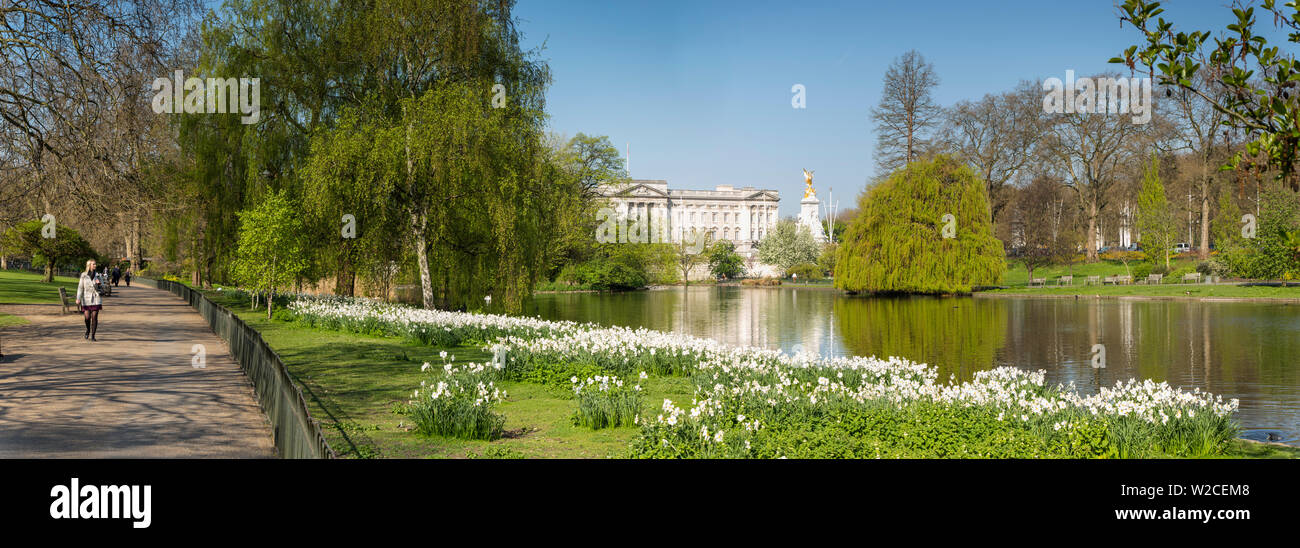 Buckingham Palace & Green Park, Londra, Inghilterra, Regno Unito Foto Stock