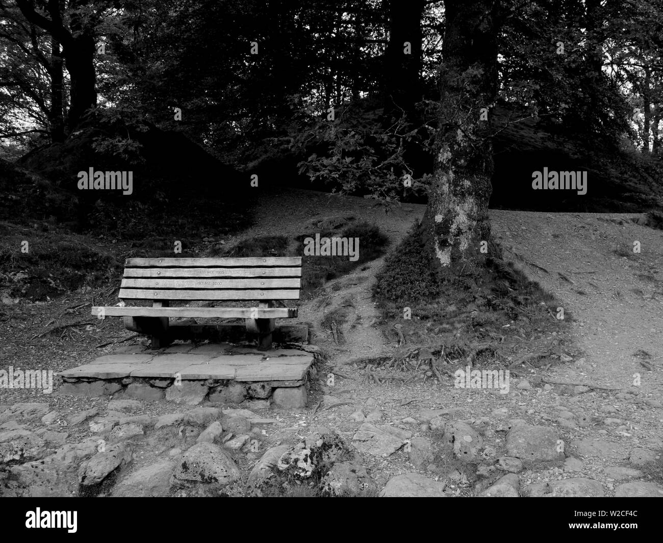 Panca in legno Banneriggs accanto al fiume Rothay nel Parco Nazionale del Distretto dei Laghi, Cumbria, Regno Unito. Foto Stock