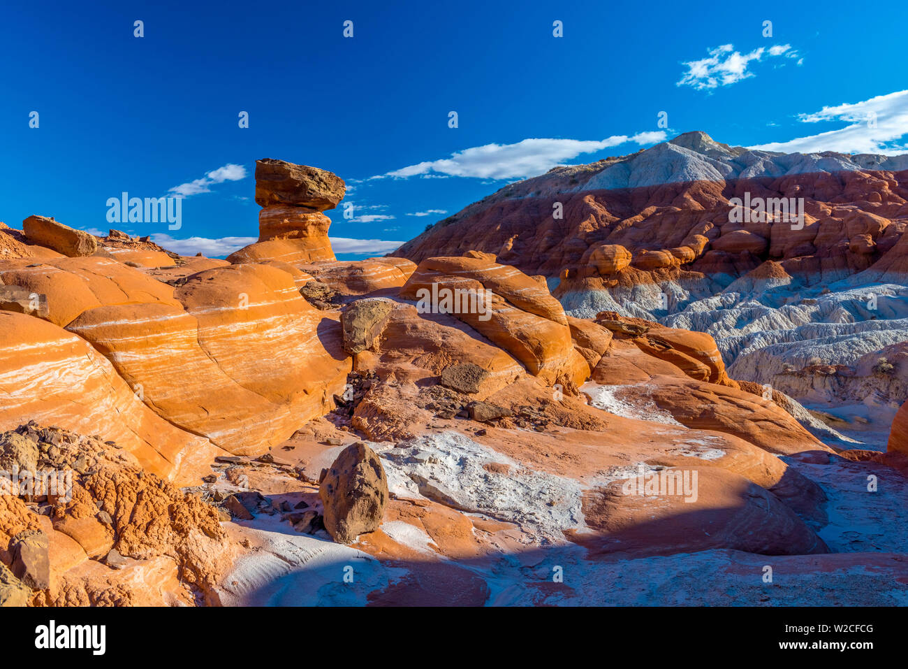 Stati Uniti d'America, Utah, Scalone Escalante monumento nazionale, il Toadstools Foto Stock