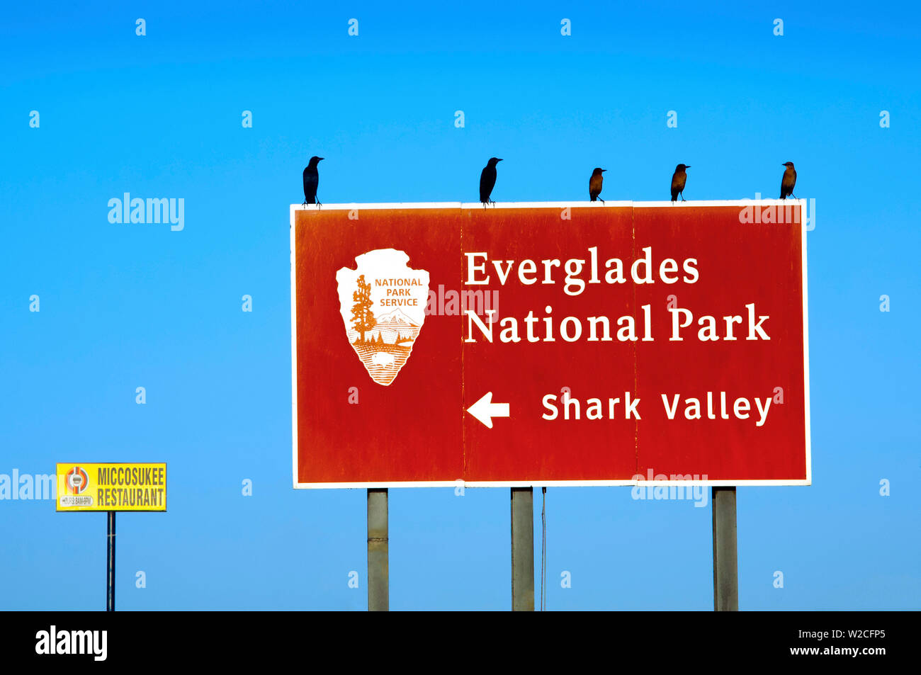Florida Everglades National Park, Shark Valley, segno di ingresso Foto Stock