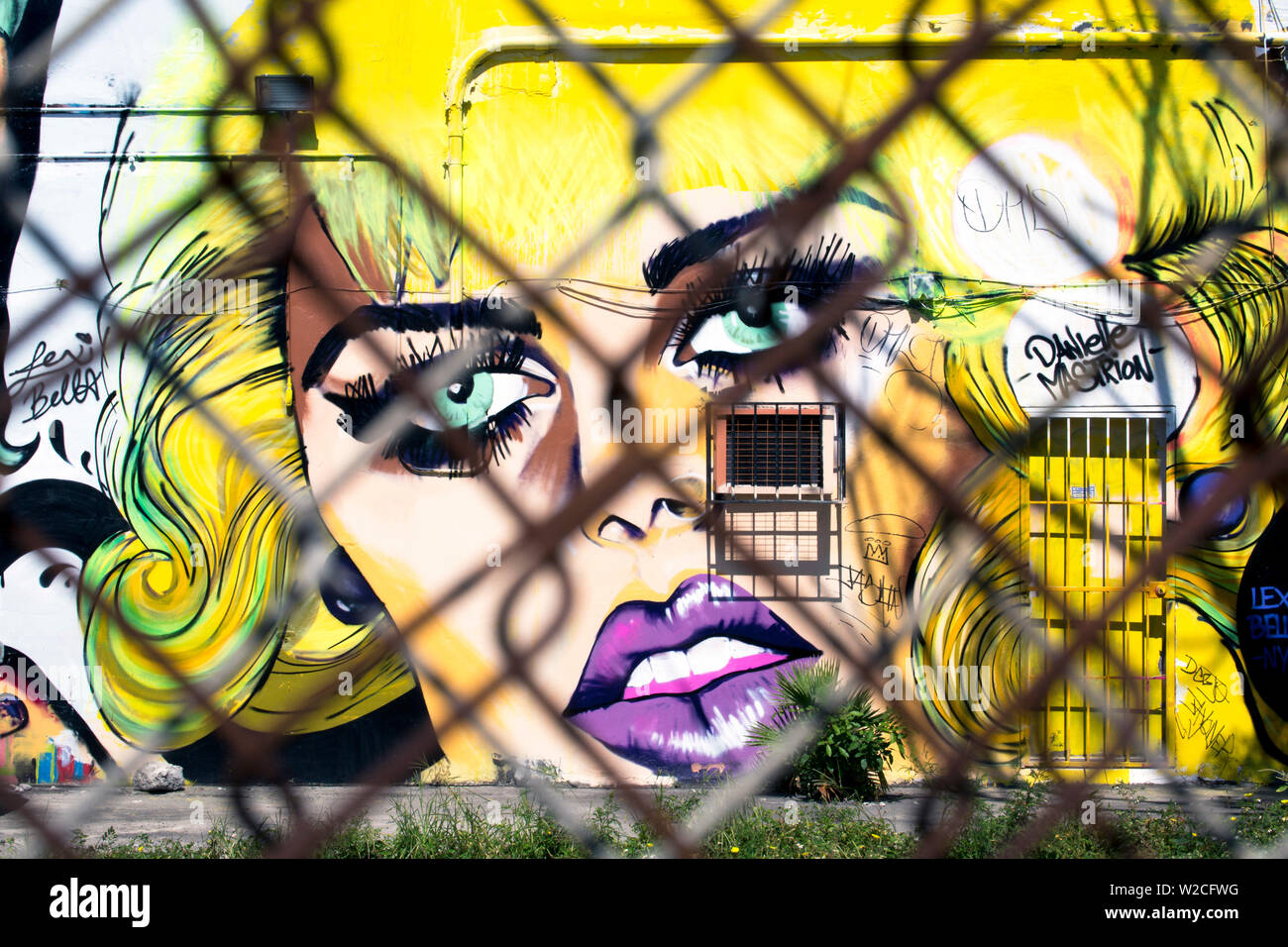 Graffiti street art in Wynwood Art District di Miami, Florida, Stati Uniti d'America Foto Stock