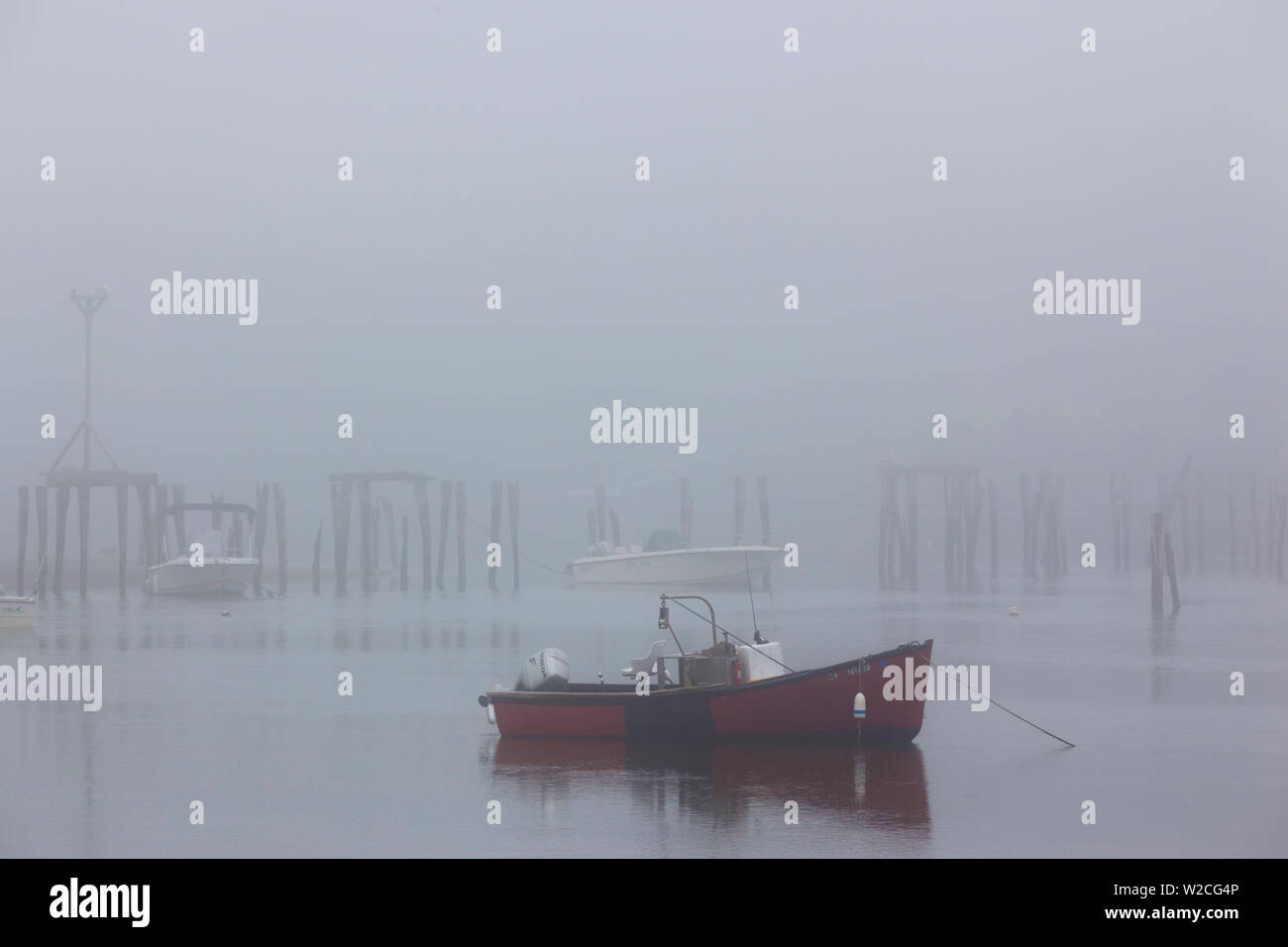 Stati Uniti d'America, Maine, Cape Neddick, barca da pesca nella nebbia Foto Stock