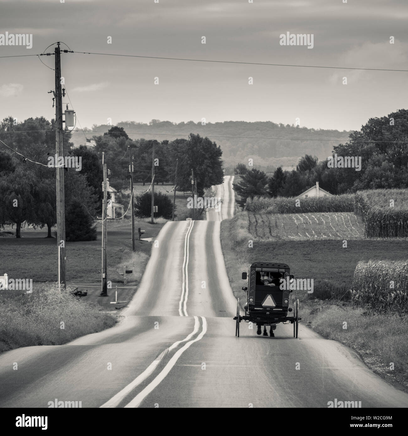 Stati Uniti d'America, Pennsylvania, Pennsylvania Dutch Country, Paradise, Amish cavallo e buggy su Paradise Lane Foto Stock