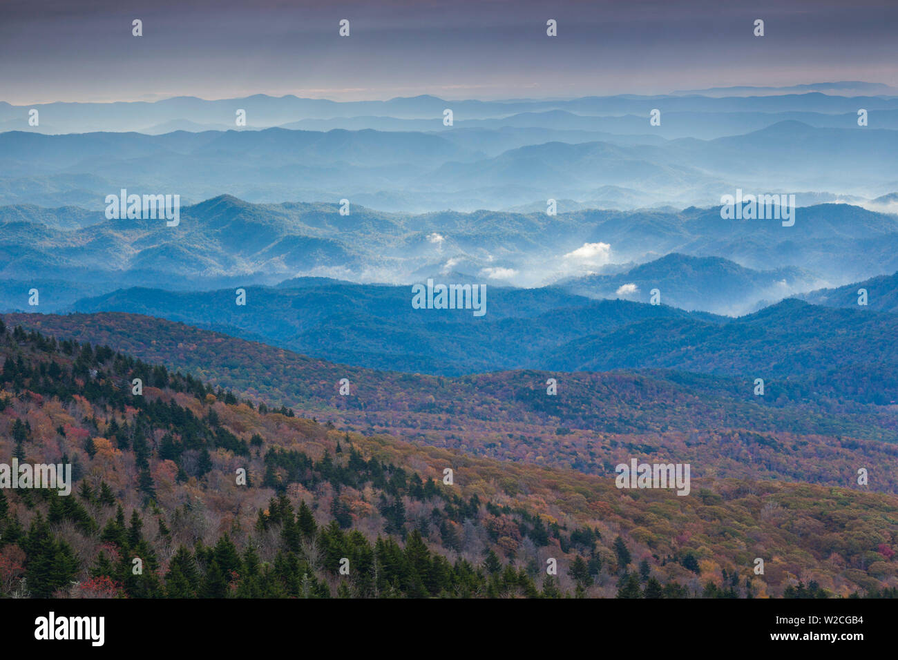 Stati Uniti d'America, North Carolina, nonno Mountain State Park, vista delle Blue Ridge Mountains Foto Stock