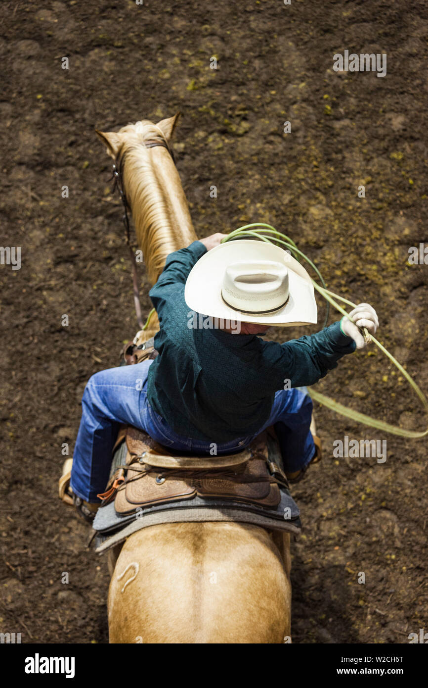 Stati Uniti d'America, Oklahoma, Oklahoma City, Oklahoma State Fair Park, Cowboy Rodeo Concorrenza, cowboy Foto Stock