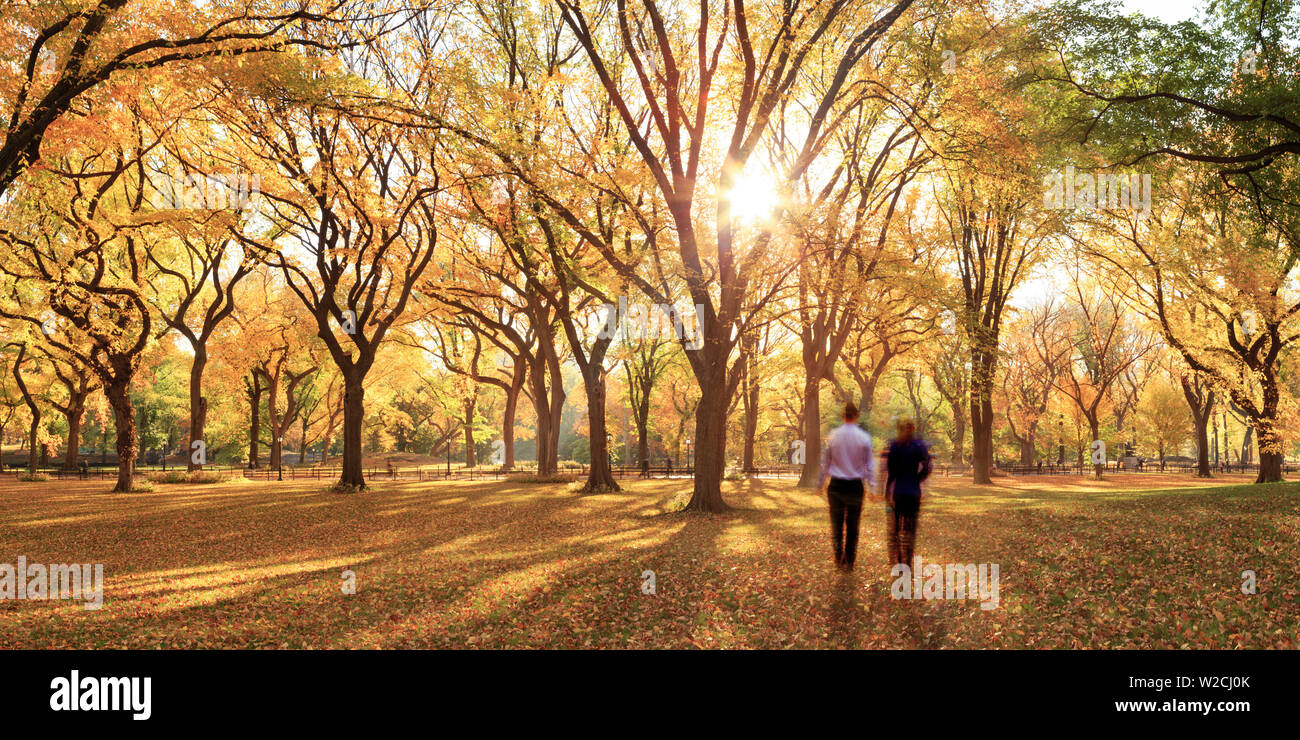 Stati Uniti d'America, New York City, Manhattan, Central Park, il centro commerciale Foto Stock