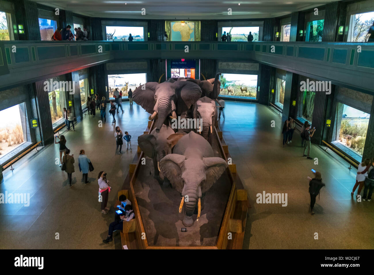 Il Museo Americano di Storia Naturale, Manhattan, New York, Stati Uniti d'America Foto Stock