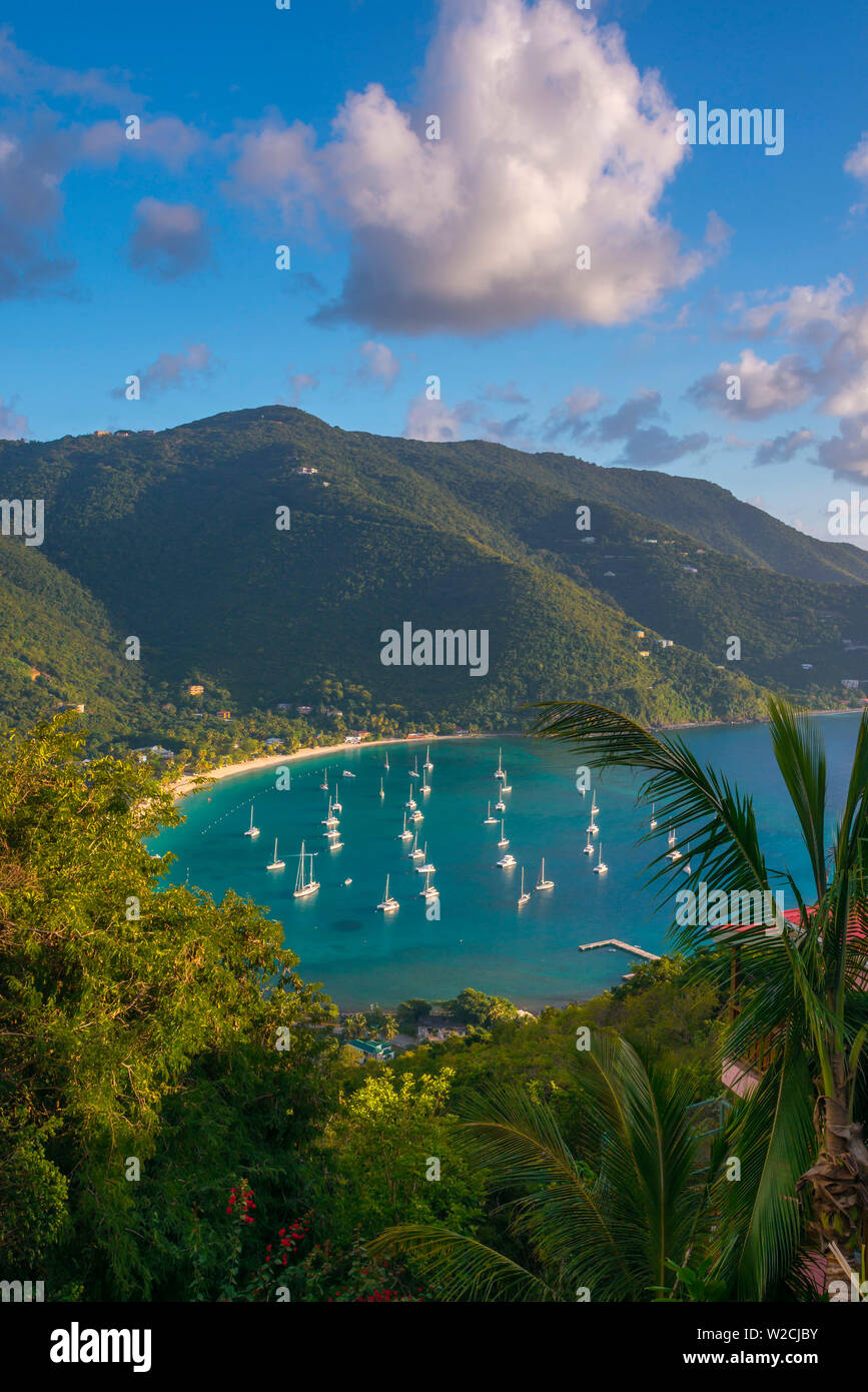 Caraibi, Isole Vergini Britanniche, Tortola, canna Giardino Bay Foto Stock