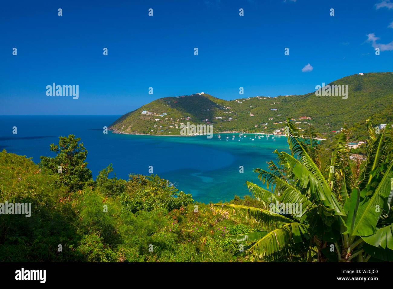 Caraibi, Isole Vergini Britanniche, Tortola, canna Giardino Bay Foto Stock