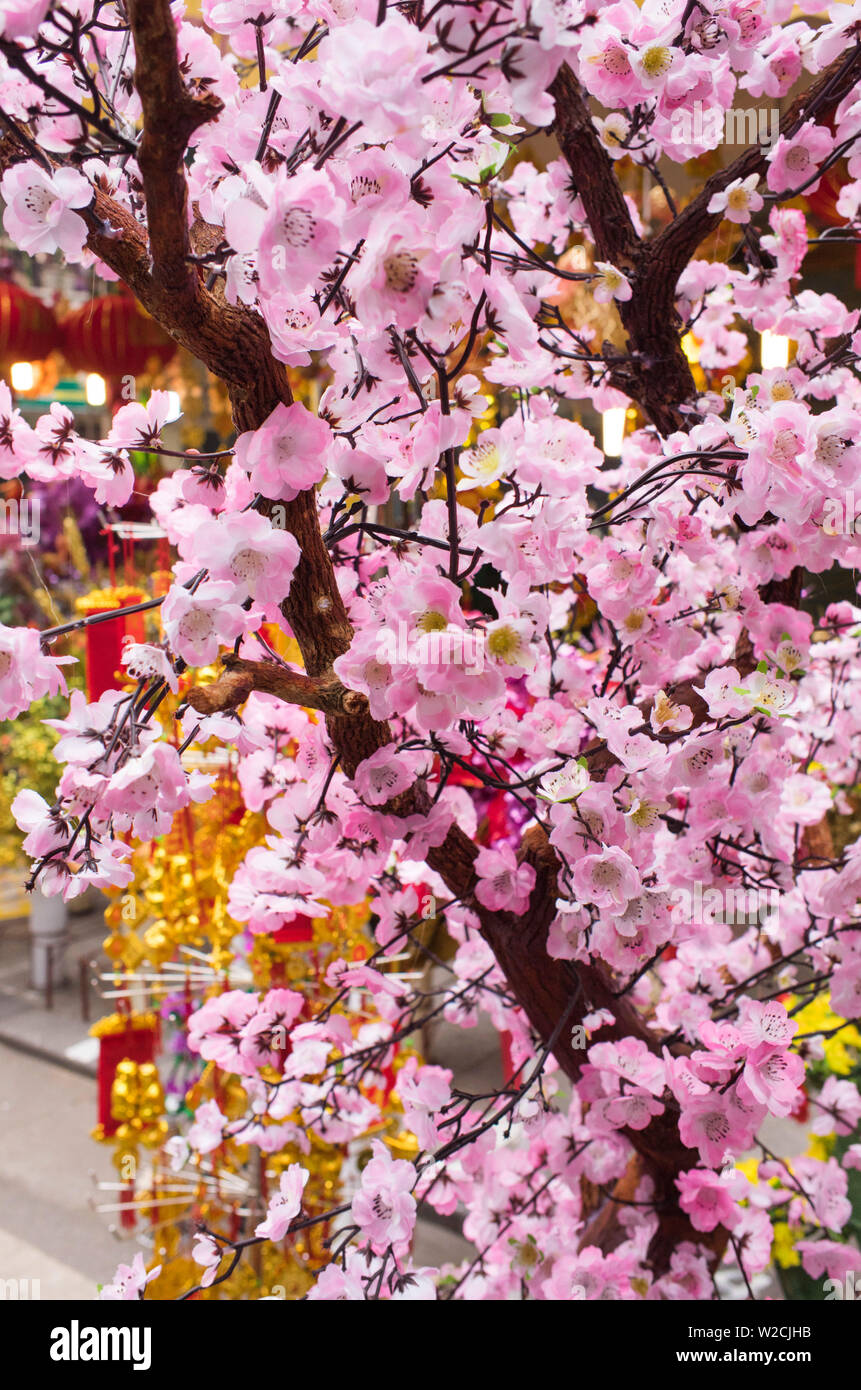 Il Vietnam, Hanoi, Tet capodanno nuovo anno lunare, fiori di ciliegio in vendita Foto Stock