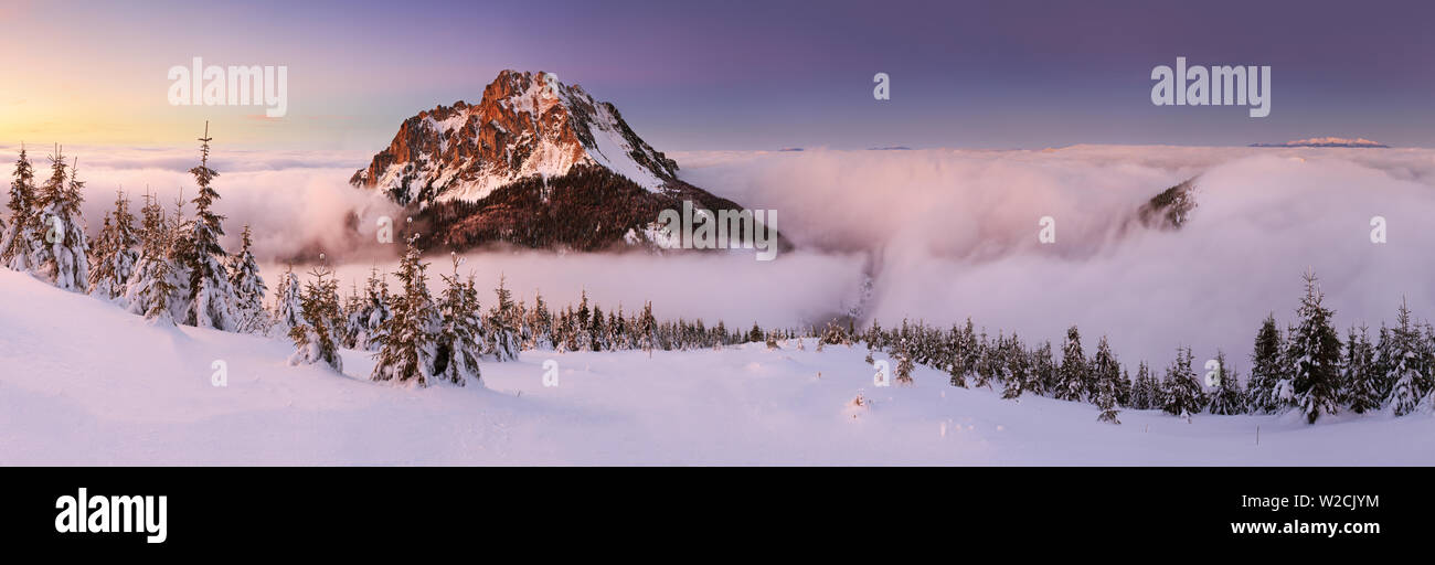 In inverno il paesaggio di montagna Foto Stock