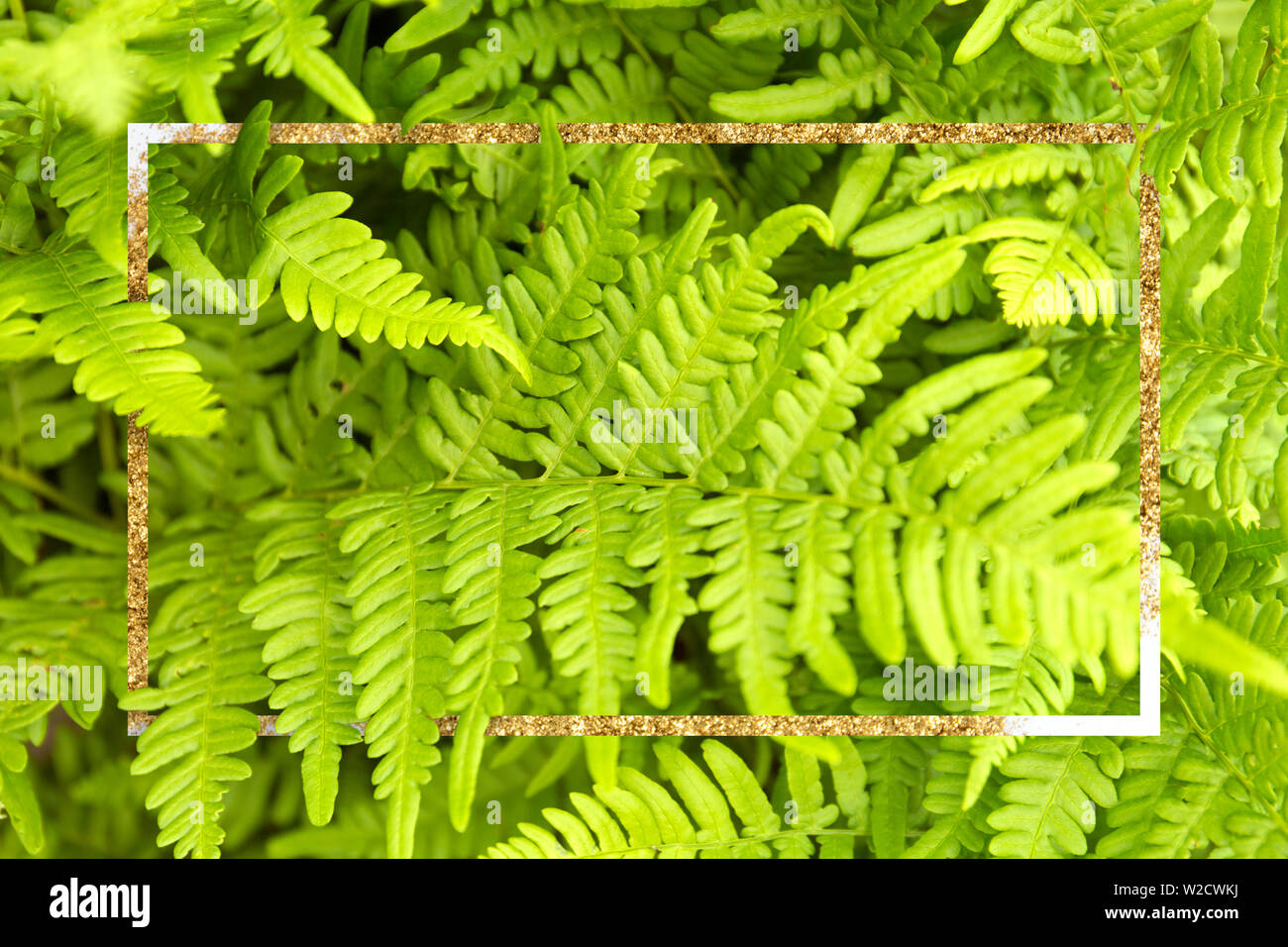 Verde foglie di felce sfondo. Texture dorata cornice. Foto Stock