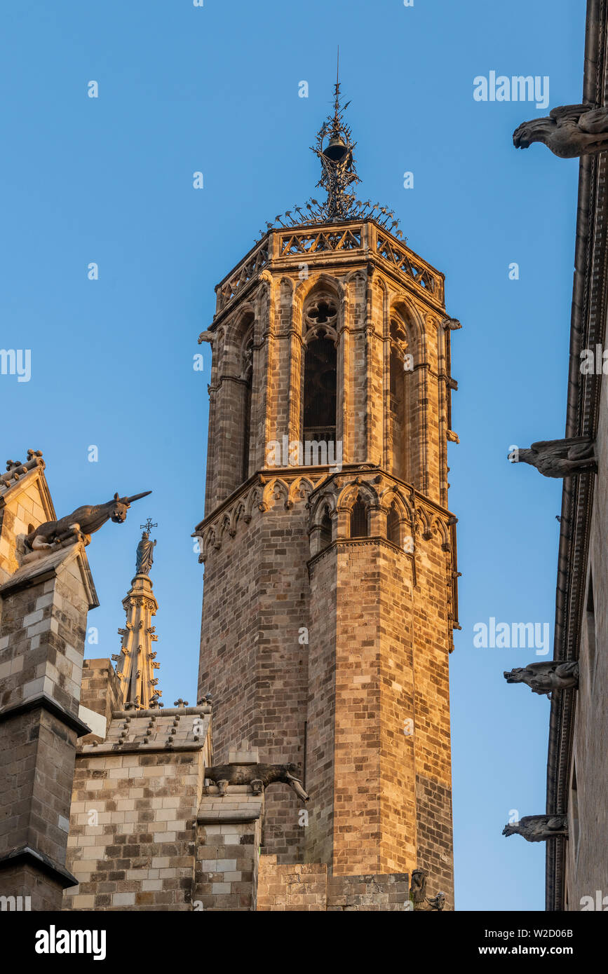 Campanile, Cattedrale di Santa Croce e di Santa Eulalia, Barcellona, in Catalogna, Spagna Foto Stock