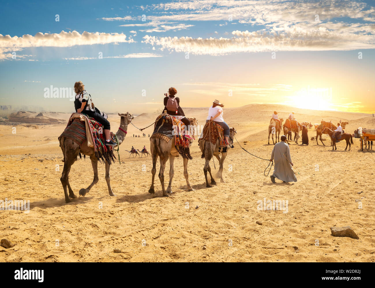 Cammelli vicino alle Piramidi di Giza in Egitto Foto Stock