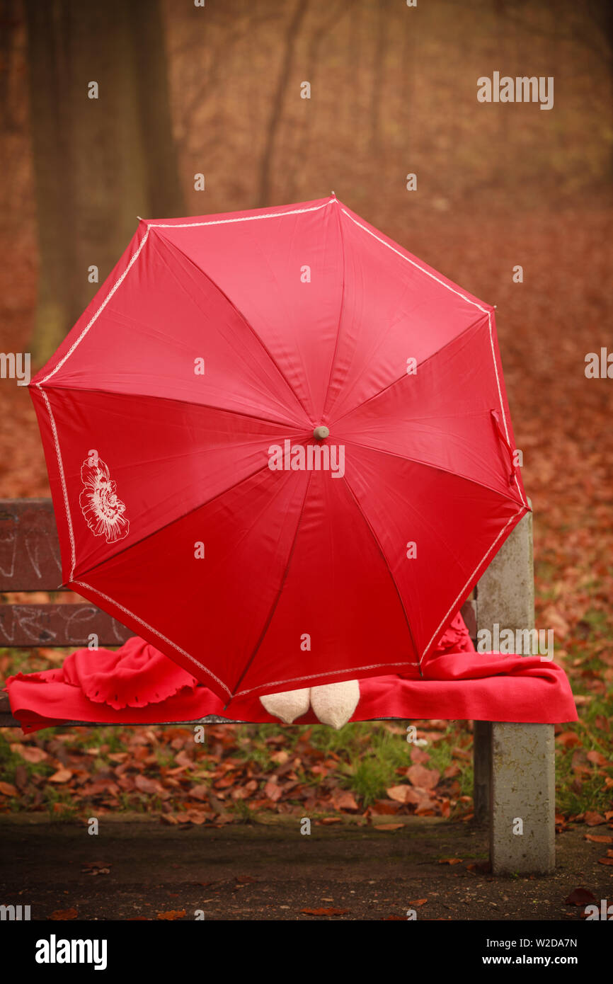 Stagione Autunno natura protezione femminile concetto rosso. Ragazza nel parco con l'ombrello. La bionda signora nella foresta autunnale seduta sul banco la stessa copertura da Foto Stock