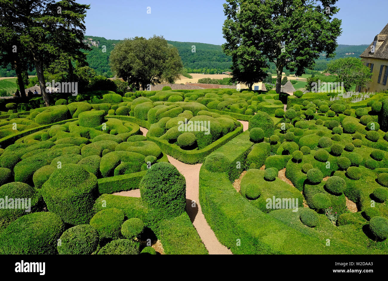 Topiaria da, siepi tagliate a giardini Marqueyssac, Dordogne, Francia Foto Stock