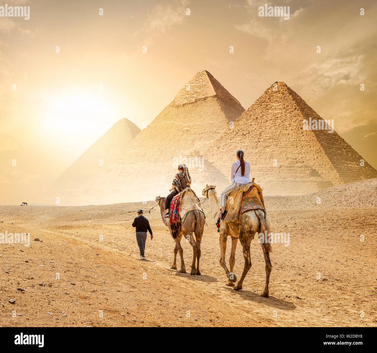 Camel Caravan e le Piramidi di Giza in Egitto Foto Stock