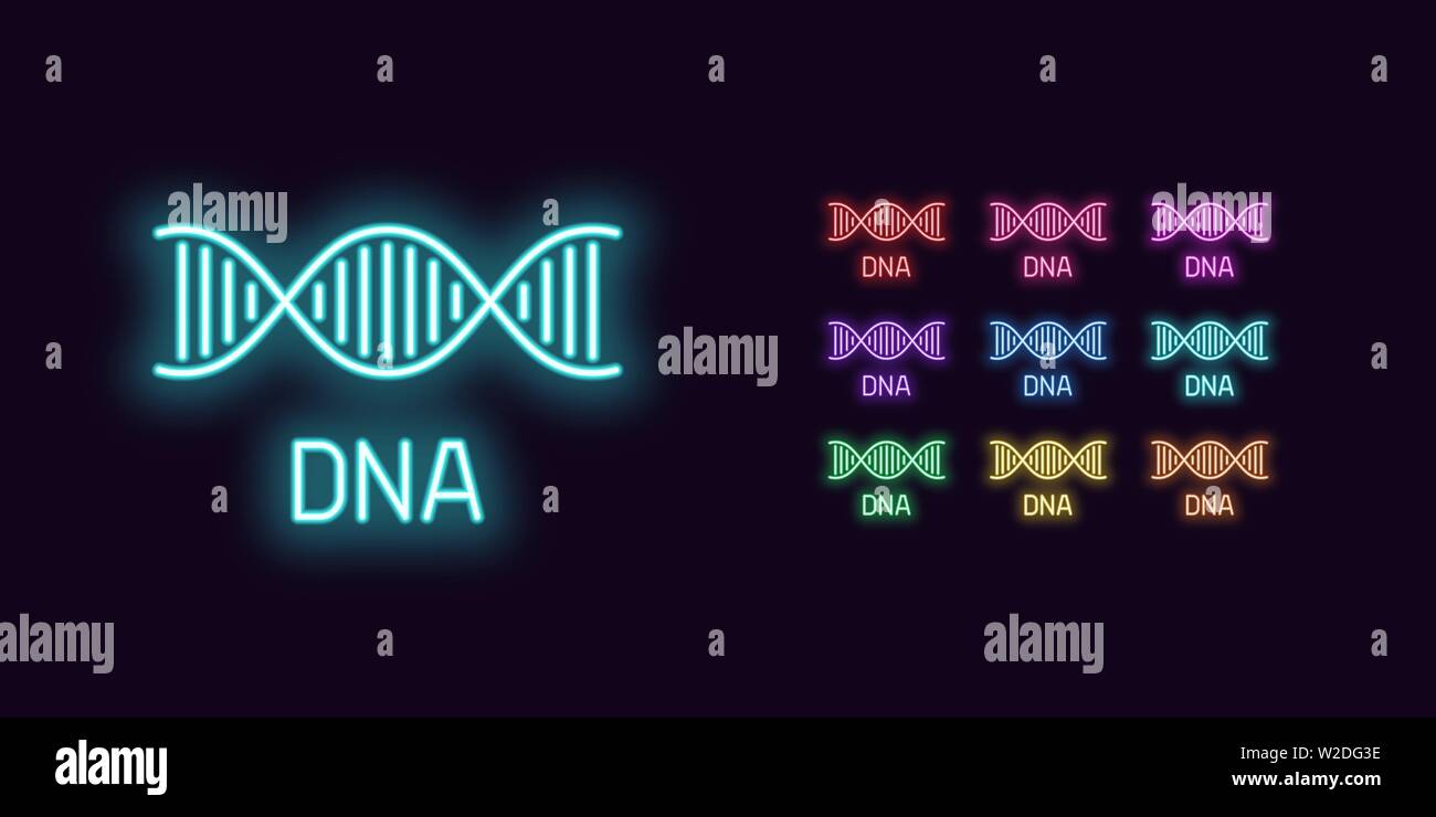Neon icona di DNA, la struttura. Set di incandescente elica di DNA in neon stile con retroilluminazione trasparente. Silhouette di vettore, rosso porpora rosa blu violetto azzurro gree Illustrazione Vettoriale